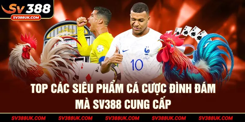 Top các siêu phẩm cá cược đình đám mà SV388 cung cấp